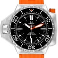 Omega Seamaster Ploprof 1200m Steel Mens Watch 224.32.55.21.01.001 Card