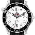Omega Seamaster Co-Axial 42mm Steel Mens Watch 210.32.42.20.04.001 Box Card
