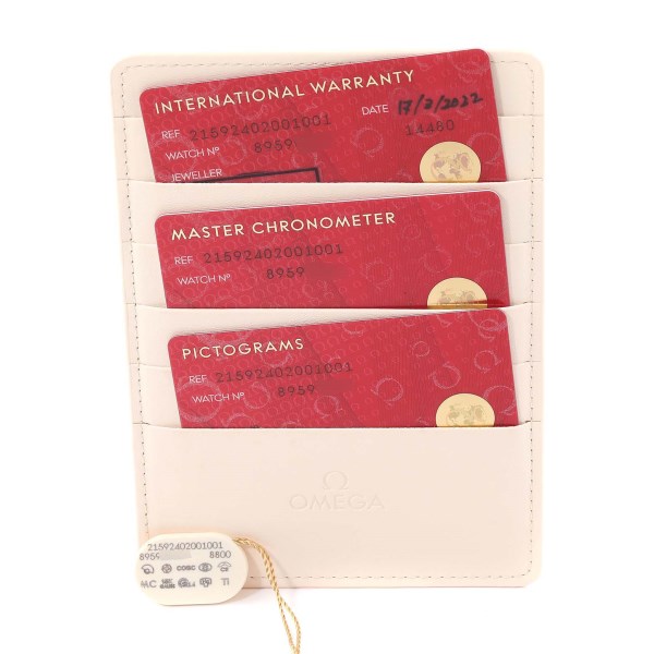 Omega Planet Ocean 600M 39.5 Ceramic Mens Watch 215.92.40.20.01.001 Unworn