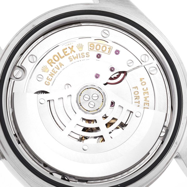 Rolex Sky-Dweller Blue Dial Steel White Gold Mens Watch 326934 Box Card